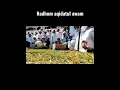 Download Lagu Nadhom Aqidatul awam