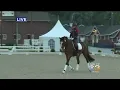 Dressage At Devon Underway Through Weekend In Chester County