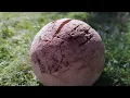 The Great Pumpkin Project
