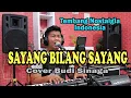 Download Lagu Sayang Bilang Sayang (Trio Ambisi) Cover Budi Sinaga
