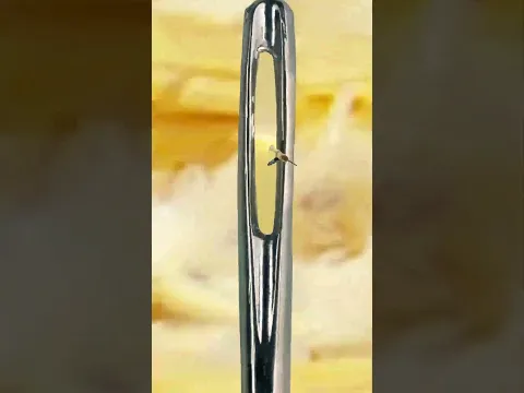 I found the needle in the haystack #loop #macro #zoom #infinite #art #transition #art #micro #shorts