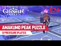 Amakumo Peak Puzzle - 9 Pressure Plates Genshin Impact