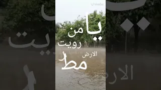 دعاء المطر 