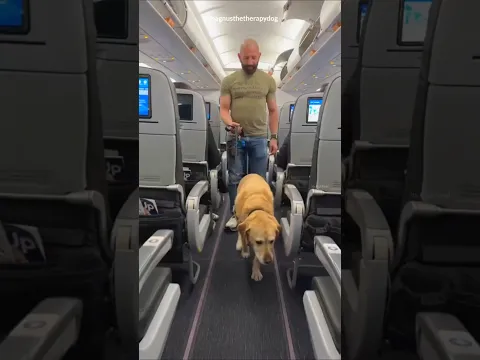 This Dog Took His First Flight 🐶✈️🥹