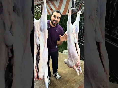 عقيقة يونس أحمد مجدي #الخميائي