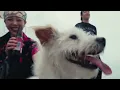 'DARA' Official MV | lIlBOI, pH-1, Woodie Gochild, BIG Naughty