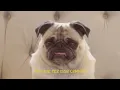 GILSONS - VARIAS QUEIXAS (REMIX MALIFOO, CAZT & VIDEO EDIT DVJ RICARDO BRANCO)