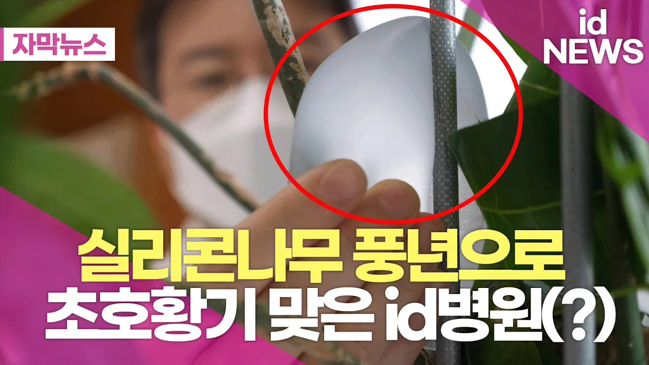 나무에서 실리콘이 열리는 시대가 됐네요