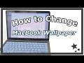 How to Change Desktop Wallpaper on Macbook from Google Pinterest