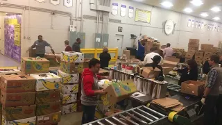 HR Dept at Food Bank of the Rockies May 2017