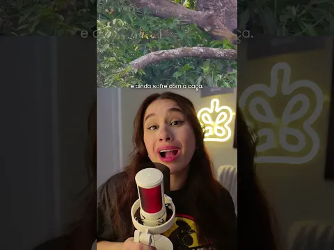 Animais que parecem Pokémons de tão maneiros que eles são!