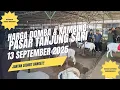 Download Lagu Harga Domba Hari Ini 12 September Di Pasar Tanjung Sari| Jantan Sedikit