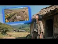 Download Lagu 被婆家退婚的病秧子竟是重生而來的福星，自帶系統裡竟能種地養禽！災荒之年又如何，我帶全家吃香喝辣徹底暴富！【饥荒年我靠系统逆袭】#逆襲 #短劇 #shorts