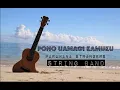 Download Lagu PARAMANA STRANGERS STRING BAND Pono Uamagi Kamuku