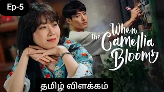 when the camellia blooms ep 5 tamil explanation whenthecamelliablooms chintumintuk love6569