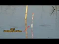 Download Lagu This method is 100% sure to catch a giant trout. Feel your rod bend sharply #AhmadHaikalMNB