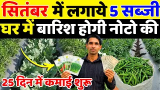सितंबर में लगाए 5 सब्जियां बिकेगी 100₹ किलो | September Me Konsi Sabji Lagaye | September Vegetables