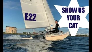 Show us your cat! Episode 22 Belgium, Holland and USA