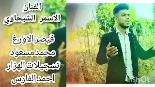 الفنان الاسمر الشيحاوي ولدة صورانية     شالو يا يمه شالو     دندنها