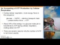 Chapter 9 ATP Accounting