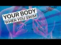 Download Lagu What Happens To Your Body When You Swim?