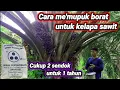 Lagu Cara mempupuk borat untuk tanaman kelapa sawit !! cukup 2 sendok dalam satu tahun