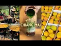 8 days solo in chiang mai thailand cooking class markets temples cafes