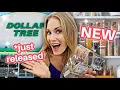 Dollar Tree Just Released Their BEST Organization Line Yet