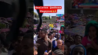 Amazing Worship In Ethiopia Waaqeffannaa Ajaa Ibaa Addabaabayii Meskel Irratti ድንቅ አምልኮ 