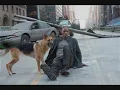 I Am Legend emotional  song