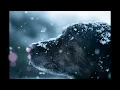 10. [EN]《White Christmas》by Sung Si Kyung
