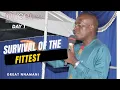 Download Lagu Survival of the Fittest by Great Nnamani