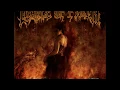 Download Lagu Cradle of Filth - Nymphetamine [Full Album + Bonus Song]