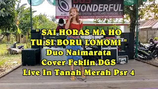 { DGS } WONDERFULL SAI HORAS MA HO TU SI BORU LOMOMI DUO NAIMARATA COVER FEKLIN DGS