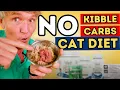 What Dr Jones Feeds His Cat Every Day No Kibble No Carbs All Natural