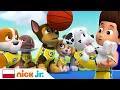 Paw Patrol | 30 minuten Paw Patrol redt de dag | Nick Jr.
