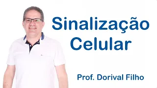 Sinalização Celular