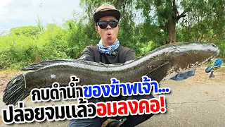 เทสเหยื่อใหม่แต่ช่อนใหญ่ถูกใจสิ่งนี้ ปล่อยจมแล้วอมลงคอ!