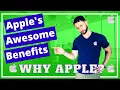 Why You Should Want to Work at Apple - What are the benefits at Apple Apple Inc Benefit Assessment