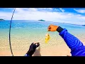 Download Lagu Ajing gaming sa magandang beach.! | Tukob Jig head at softbait  Field test !!..