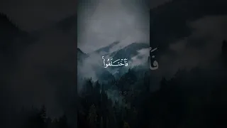 وما كان الناس إلا القارئ عبدالرحمن مسعد قرآن 