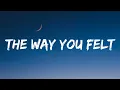 Download Lagu Alec Benjamin - The Way You Felt (Lyrics)
