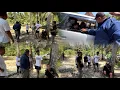 Download Lagu VIGA DOYOK MABUK DIJALAN GARA-GARA JALAN SANGAT EXTRIM‼️😂😂