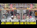 Download Lagu JOS GANDOS ! BURUNG GACORAN MEWAH SEMUA DI JUAL FULLSET SAMA SANGKAR ! EMANG GAK TEKOR MASE ?