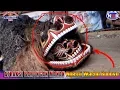 Download Lagu BARONGAN MANAK ATRAKSI NGESTI WARGO BUDOYO NEW2018