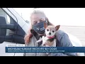 Michigan Humane Society receives 50 plus dogs