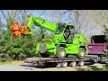 The Tallest Tree We ve Ever Taken Down with the Merlo 115 Feet