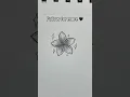 Easy Flower Drawing Tutorial