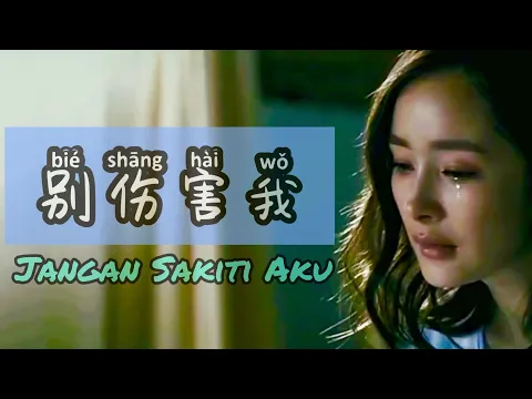 Download MP3 Bie Shang Hai Wo 别伤害我 [ Jangan Sakiti Aku ] Lagu Mandarin Subtitile Terjemahan Indonesia