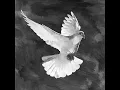 Pentecost